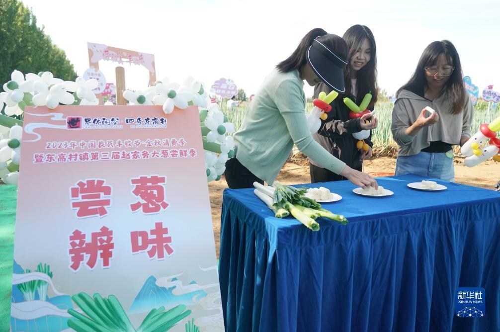永利总站网址
